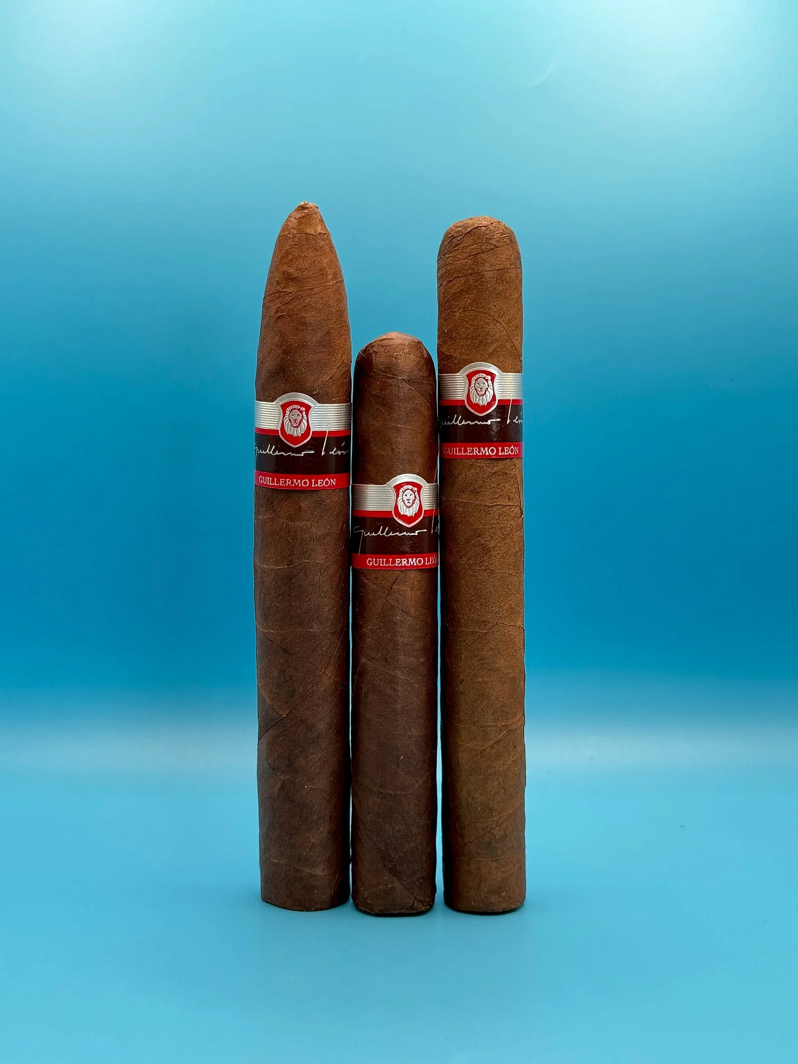 Three La Aurora Guillermo León cigars standing side by side: a torpedo, a robusto and a toro.